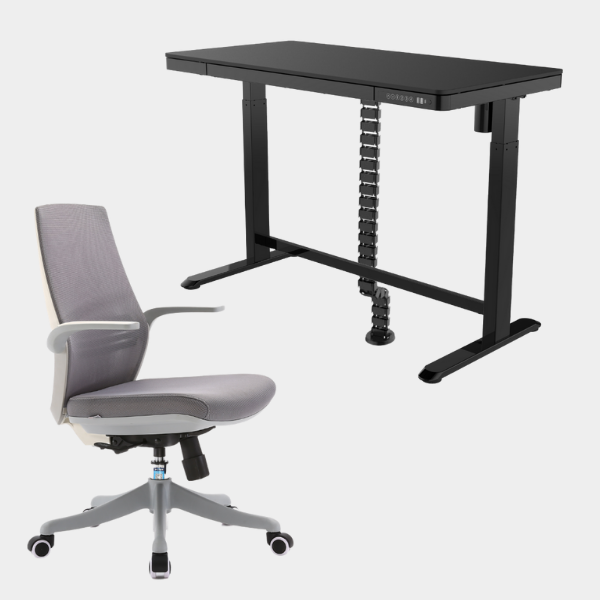 Golden Promise Height Adjustable Memory Preset Desk with Drawer, USB Charging and Child Lock