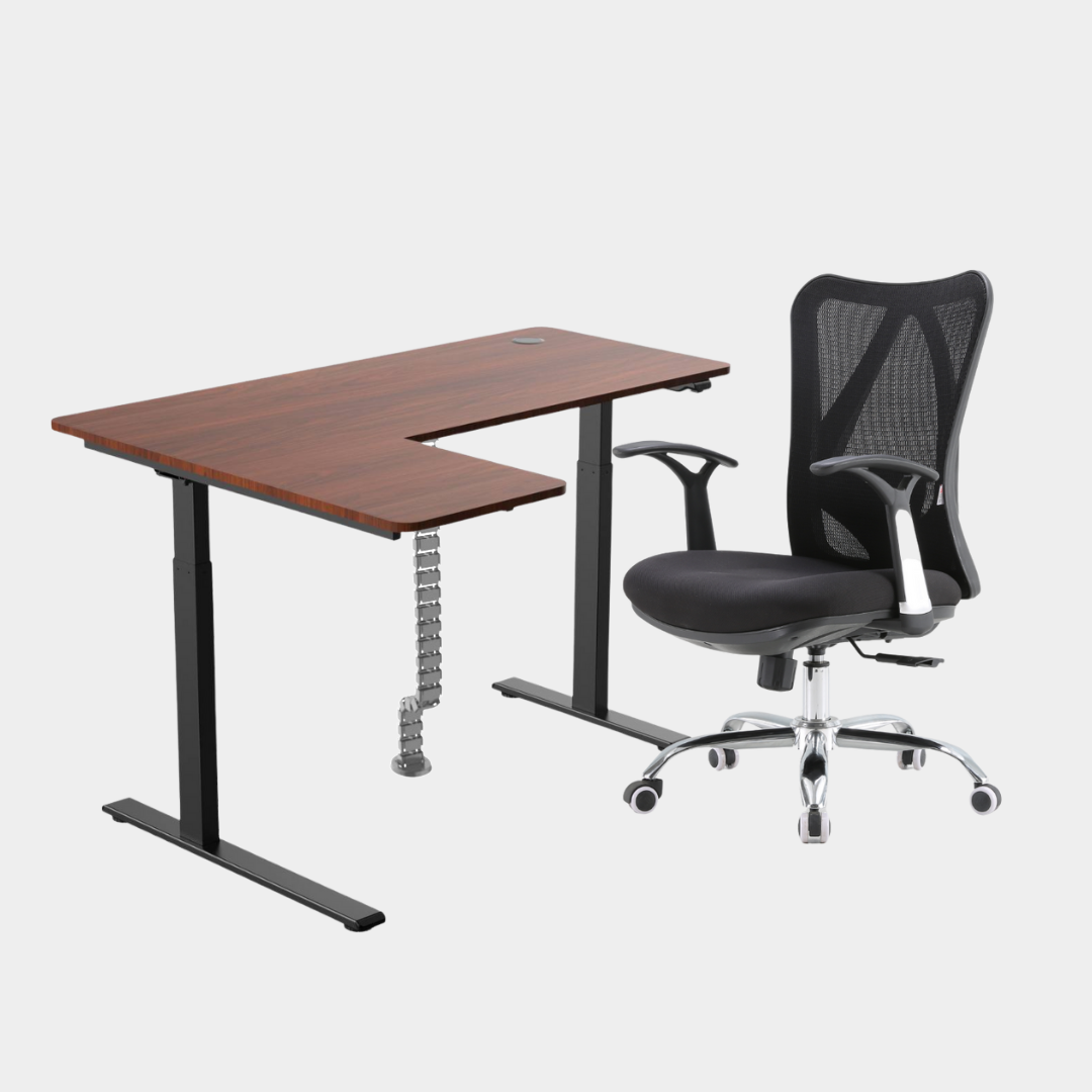 Dark Brown Carolina Height Adjustable Table M16 Grey Cable Management