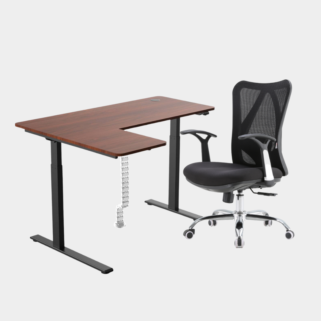 Dark Brown Carolina Height Adjustable Table M16 White Cable Management