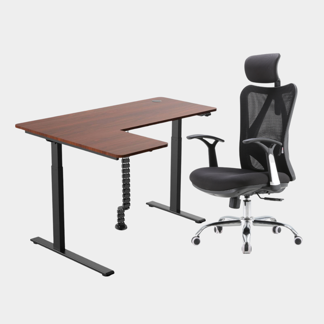 Dark Brown Carolina Height Adjustable Table M16 with headrest black Cable Management