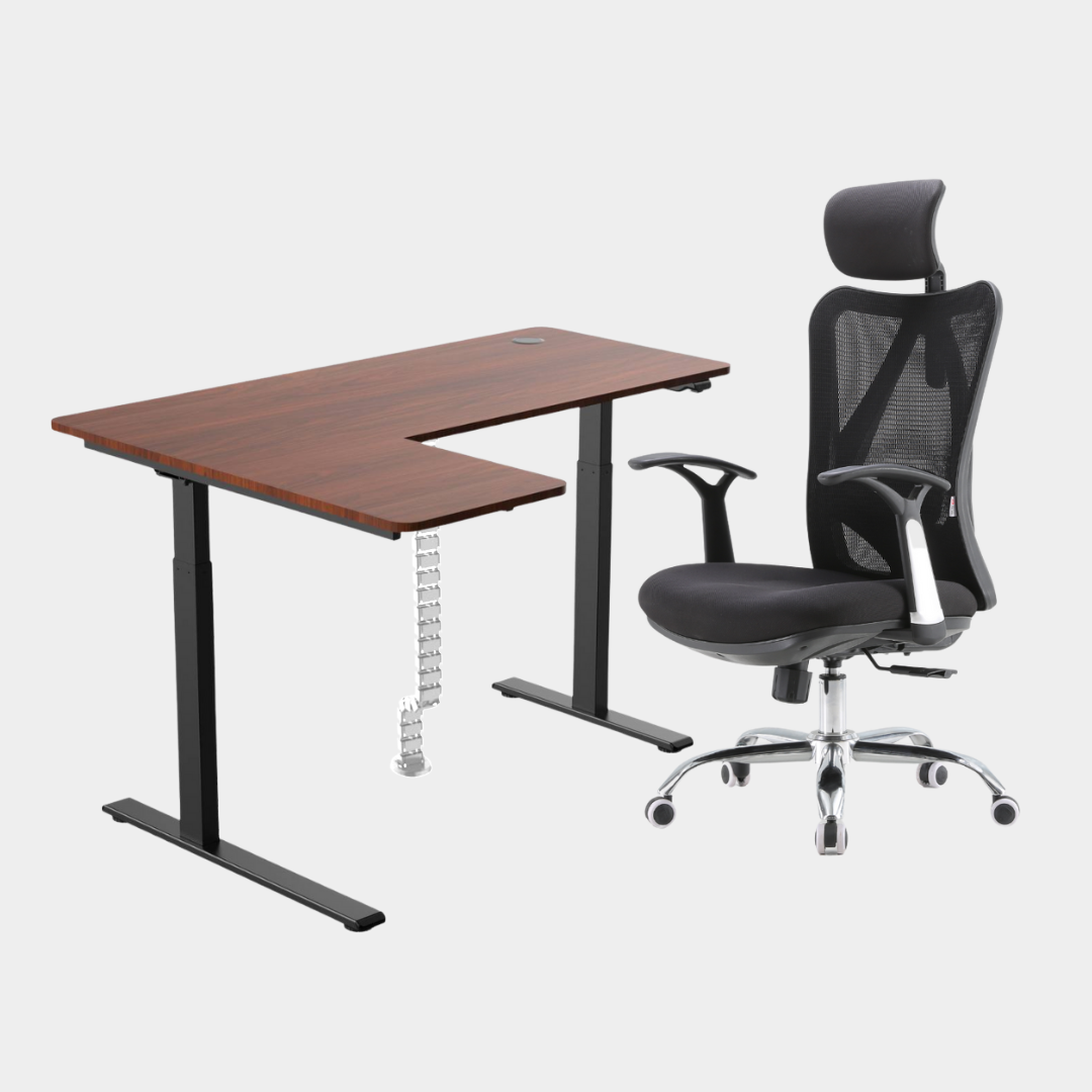 Dark Brown Carolina Height Adjustable Table M16 with headrest White Cable Management