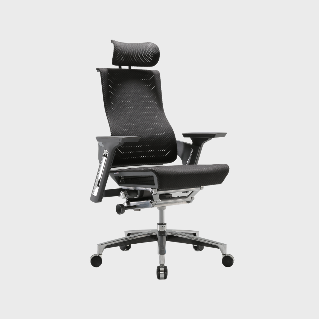 R1 Ergonomic Office Chair SG Mark
