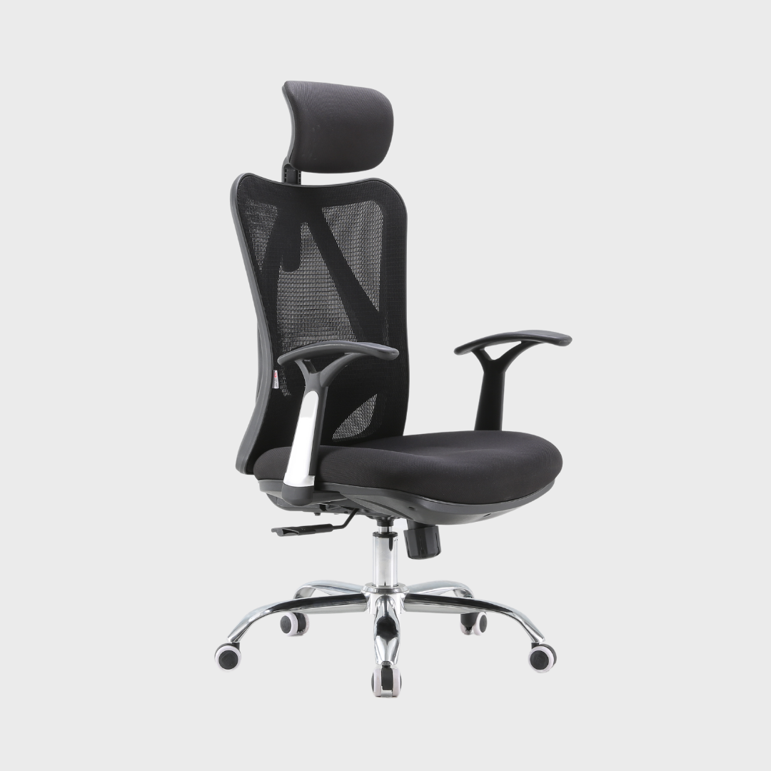 M16 Basic Office Ergonomic Chair