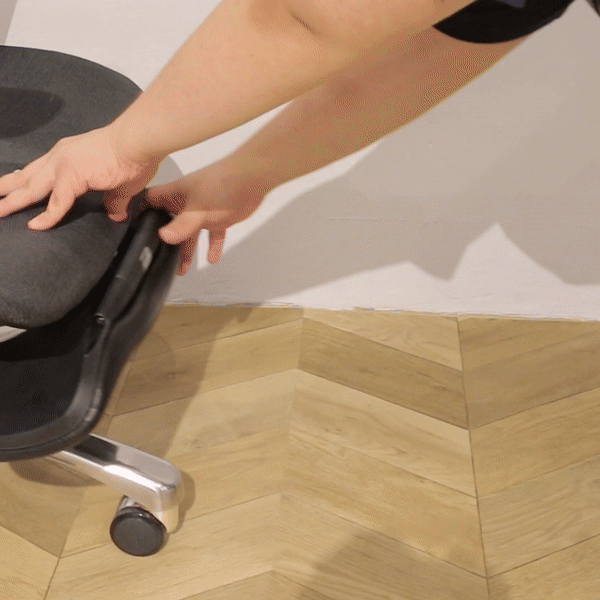 V1 Fully Adjustable Ergonomic Office Chair