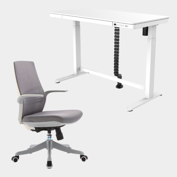 Golden Promise Height Adjustable Memory Preset Desk with Drawer, USB Charging and Child Lock