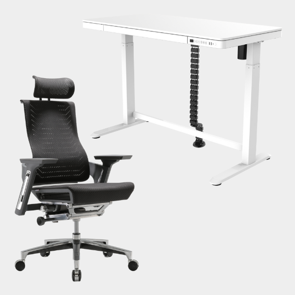 Golden Promise Height Adjustable Memory Preset Desk with Drawer, USB Charging and Child Lock