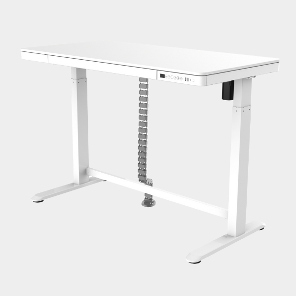 Golden Promise Height Adjustable Memory Preset Desk with Drawer, USB Charging and Child Lock
