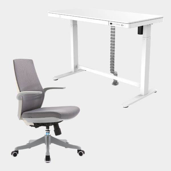 Golden Promise Height Adjustable Memory Preset Desk with Drawer, USB Charging and Child Lock