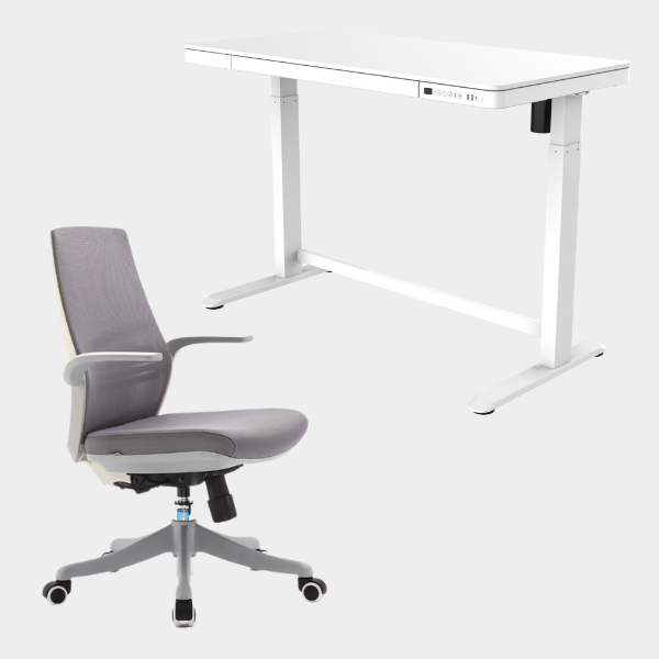Golden Promise Height Adjustable Memory Preset Desk with Drawer, USB Charging and Child Lock