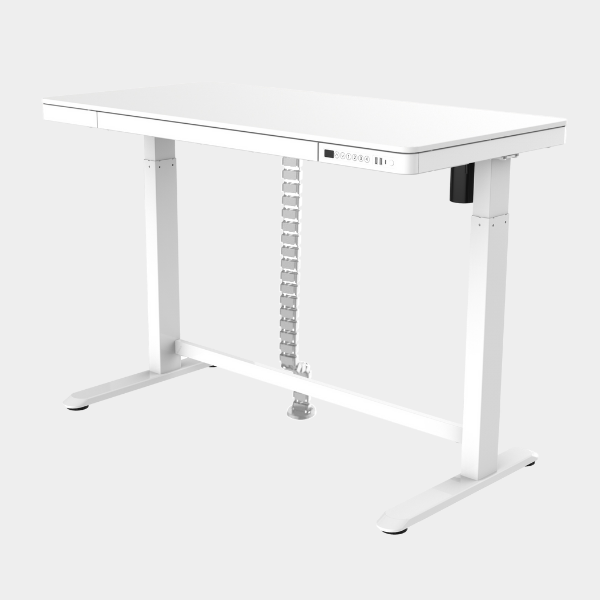 Golden Promise Height Adjustable Memory Preset Desk with Drawer, USB Charging and Child Lock