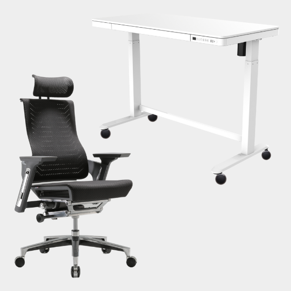 Golden Promise Height Adjustable Memory Preset Desk with Drawer, USB Charging and Child Lock