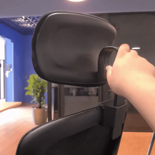 M83 Lumbar Adjustment