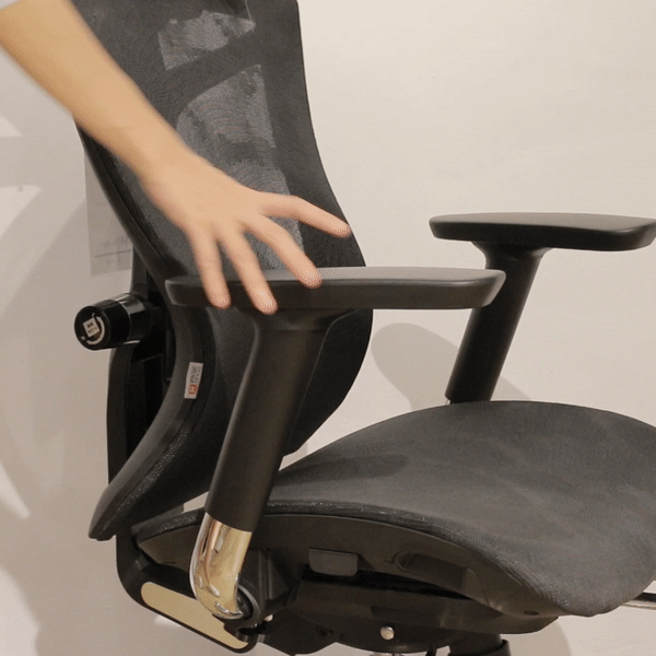 V1 Fully Adjustable Ergonomic Office Chair