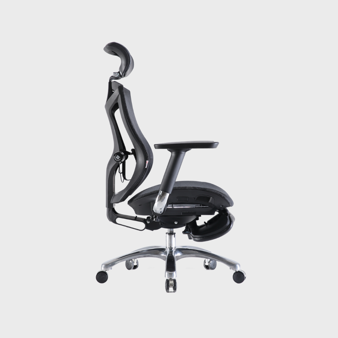 V1 Ergonomic Office Chair SG Mark