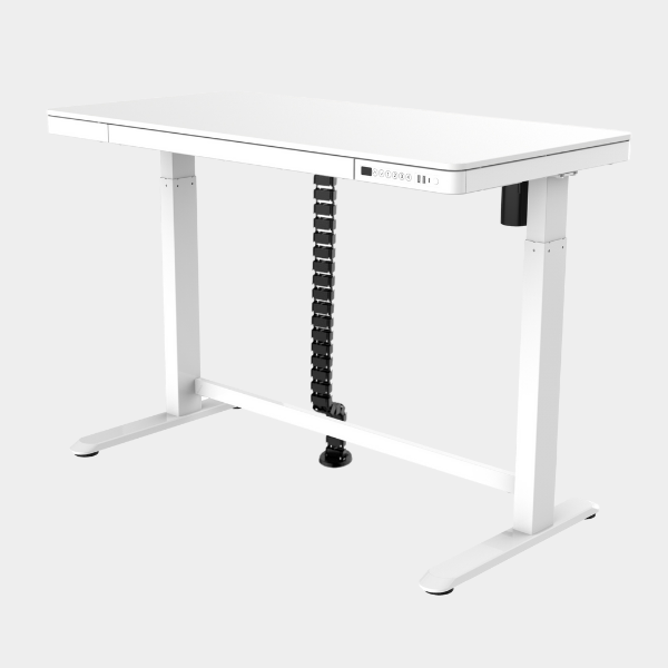 Golden Promise Height Adjustable Memory Preset Desk with Drawer, USB Charging and Child Lock